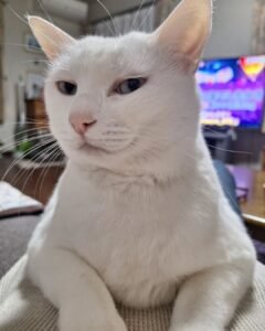 Bạn Thân B-án Tôi