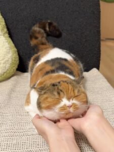 Những Dòng Ghi Chú