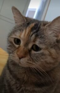 CHÚNG TA CỦA SAU NÀY