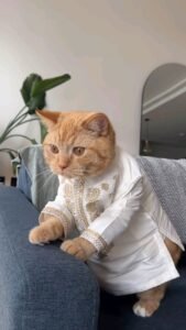 Nụ Cười Của Mẹ Chồng