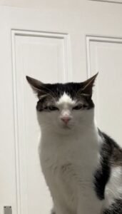 Bạch Nguyệt Quang